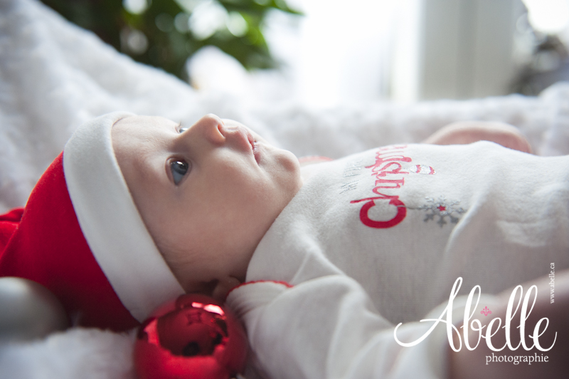 Professional Baby Portrait shot by Abelle Photographie in Montreal.