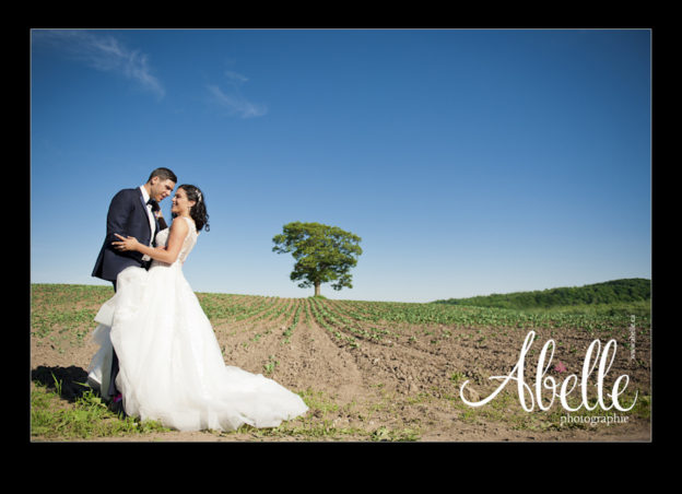 Portrait of a Wedding couple in the country.