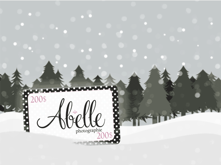 Abelle photography studio gift cards.