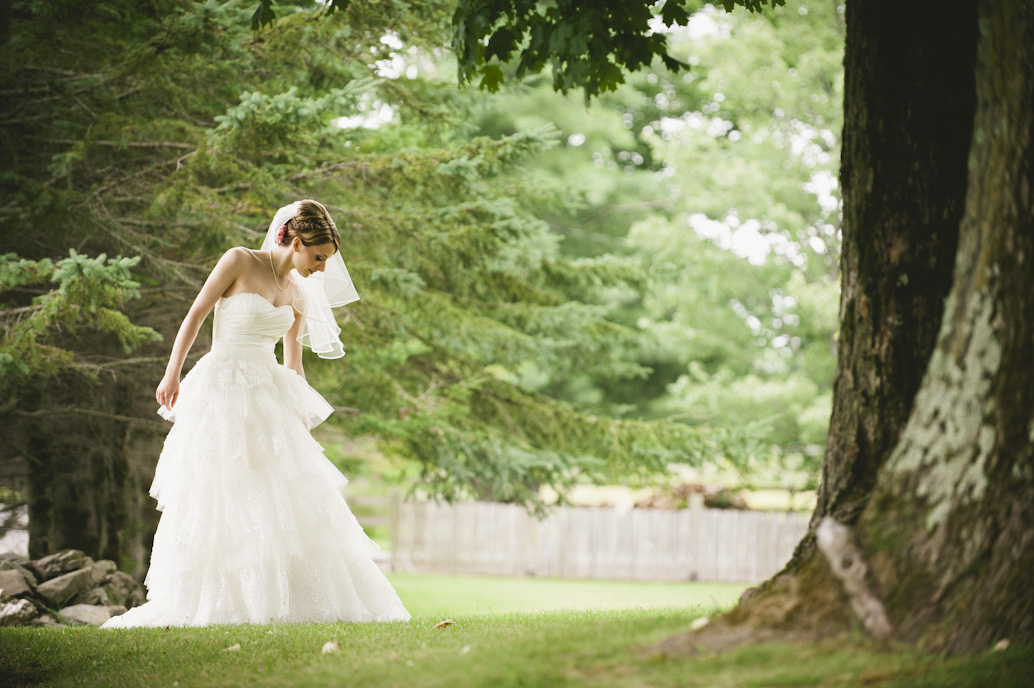 Beautiful bride in wedding dress