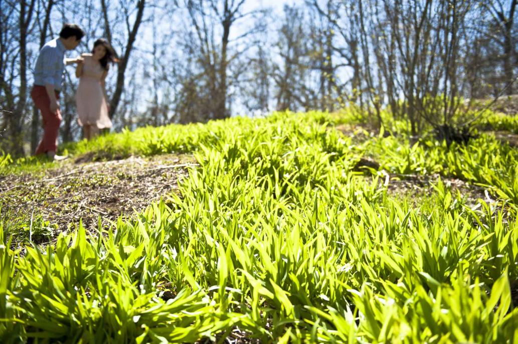 Springtime e-session photo shoot