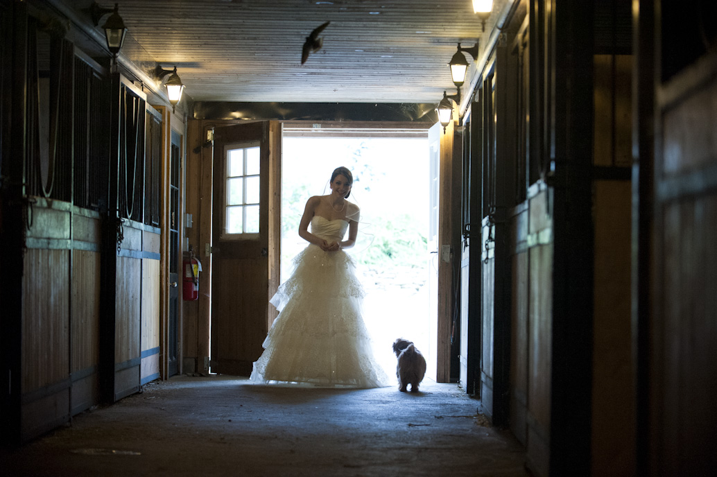 wedding photographer: Abelle