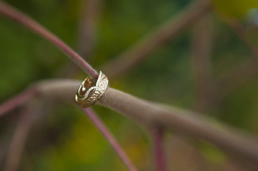 Mariage à Île Perrot: Abelle