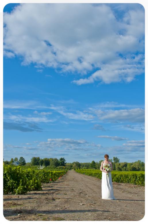 Mariage au vignoble, Dunham